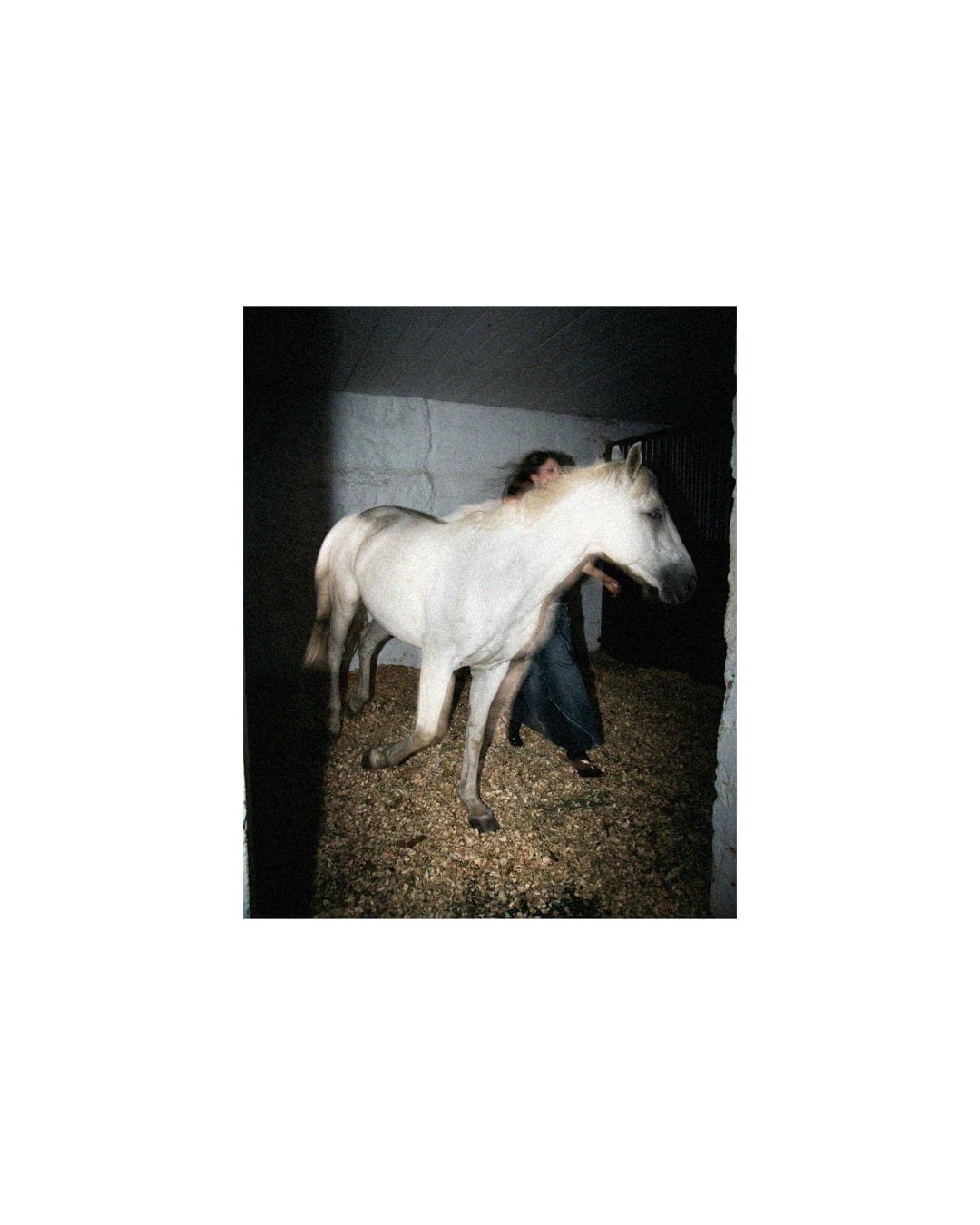 Oxidian — White Horse — 2